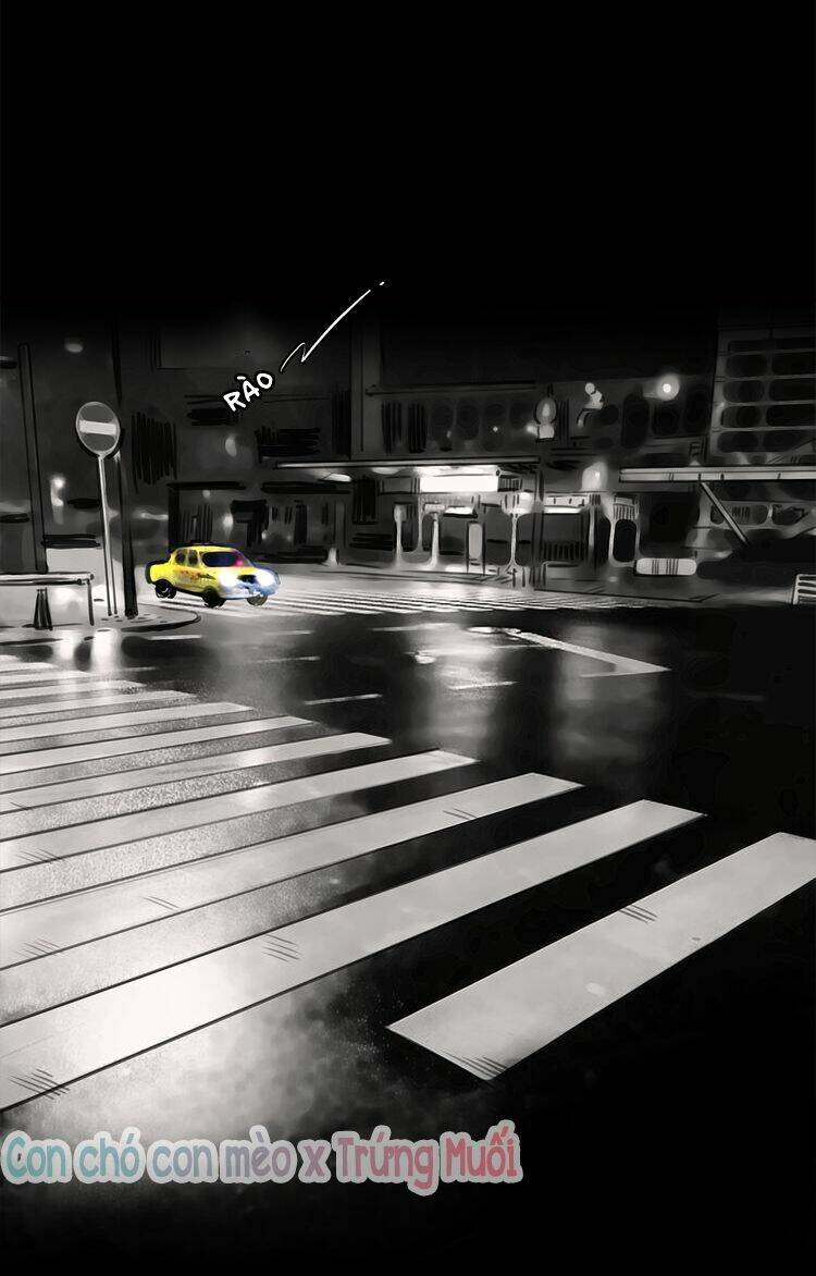 Quả Bóng Màu Vàng: Chapter 12