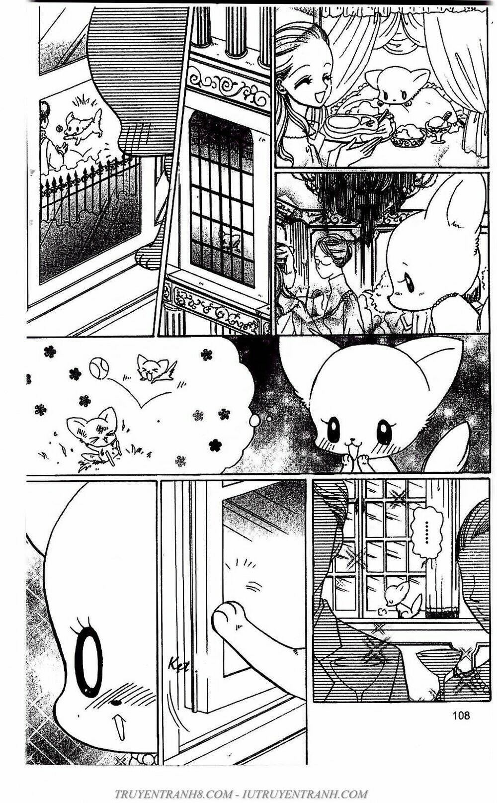 Bộ Sưu Tập Lọ Lem: Chapter 51