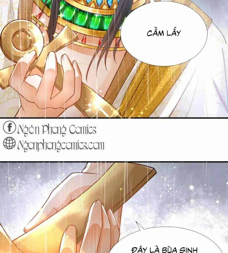 Sủng Hậu Của Vương: Chapter 17