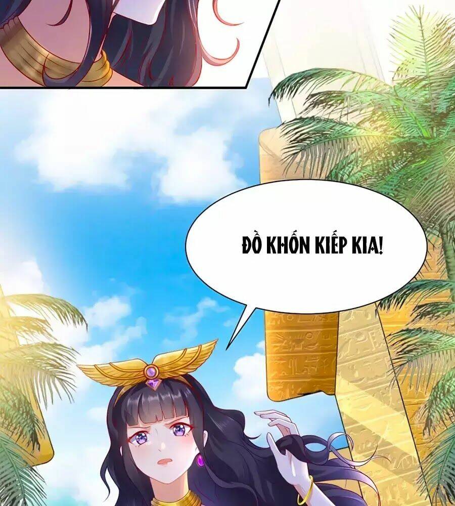 Sủng Hậu Của Vương: Chapter 2