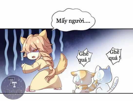 Dưới Móng Vuốt Mèo: Chapter 1