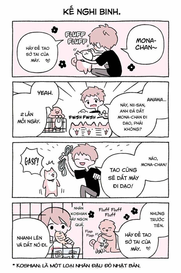 Chú Mèo Kỳ Diệu Kyuu-Chan: Chapter 676