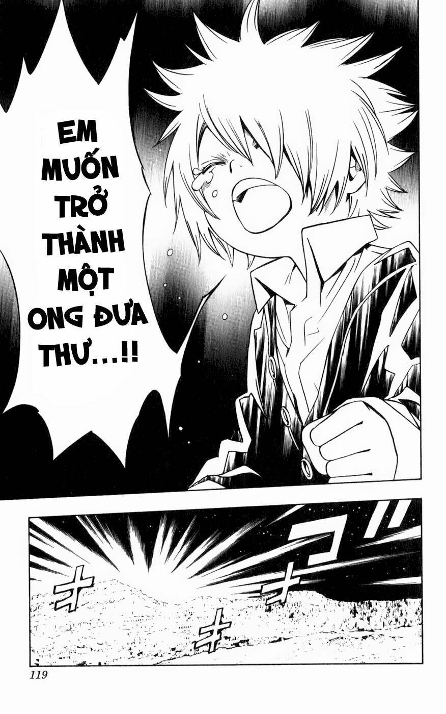 Ong Đưa Thư: Chapter 1.3