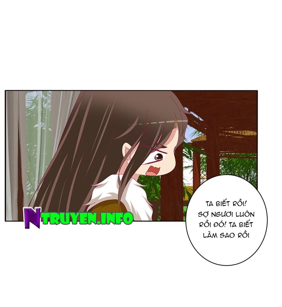 Thông Linh Phi: Chapter 505