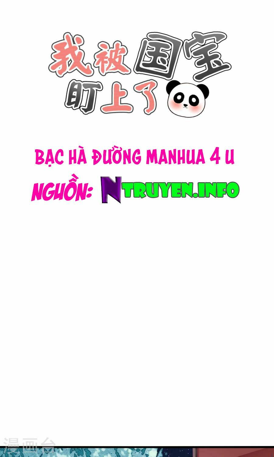 Tôi Bị Gấu Trúc Nhìn Trúng Rồi: Chapter 11