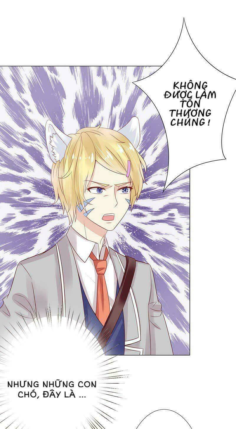 Băng Sơn Học Trưởng Không Được Chọc: Chapter 15