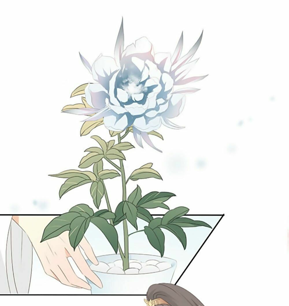 Quy Tự Dao: Chapter 17