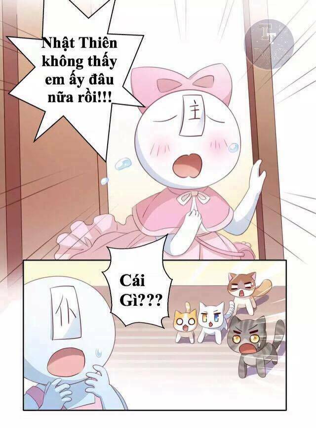 Dưới Móng Vuốt Mèo: Chapter 14