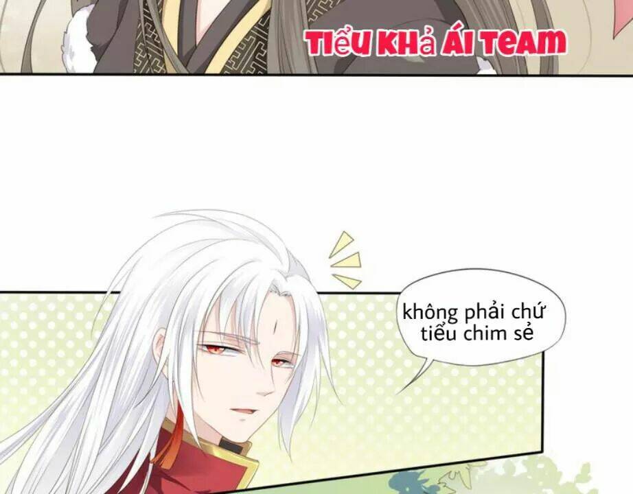 Tước Kiều Tiên: Chapter 2.2