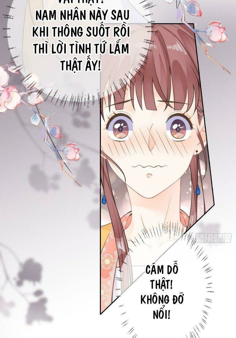 Tang Lạc Túy Tại Nam Phong Lý: Chapter 62