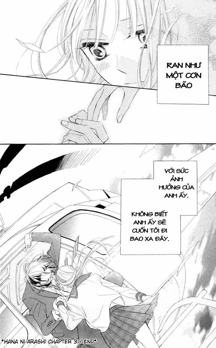 Hoa Trong Bão: Chapter 3