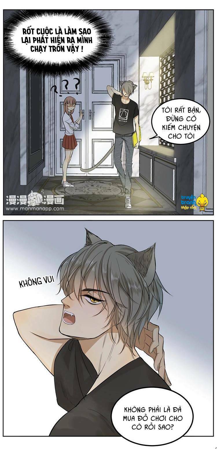 Phục Thù Thiếu Gia Tiểu Điềm Thê: Chapter 5