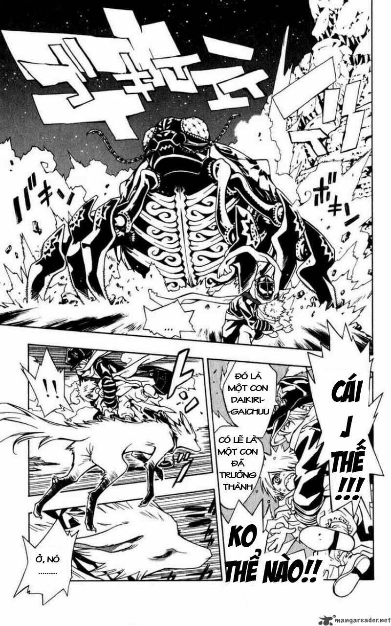 Ong Đưa Thư: Chapter 1