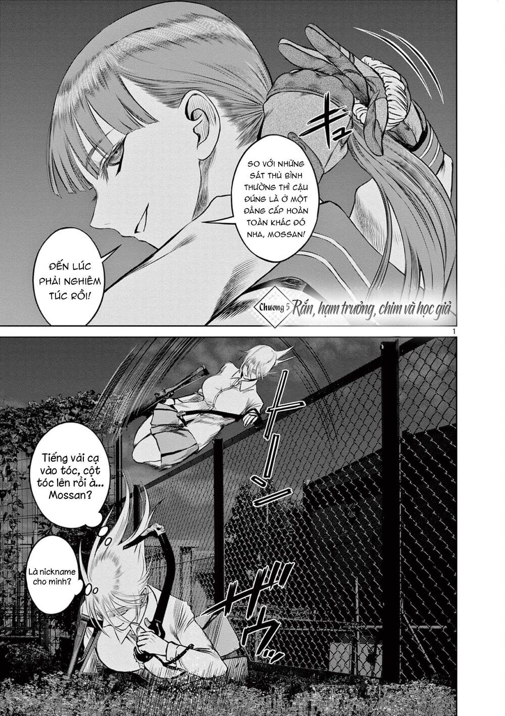 Destro 016: Chapter 5