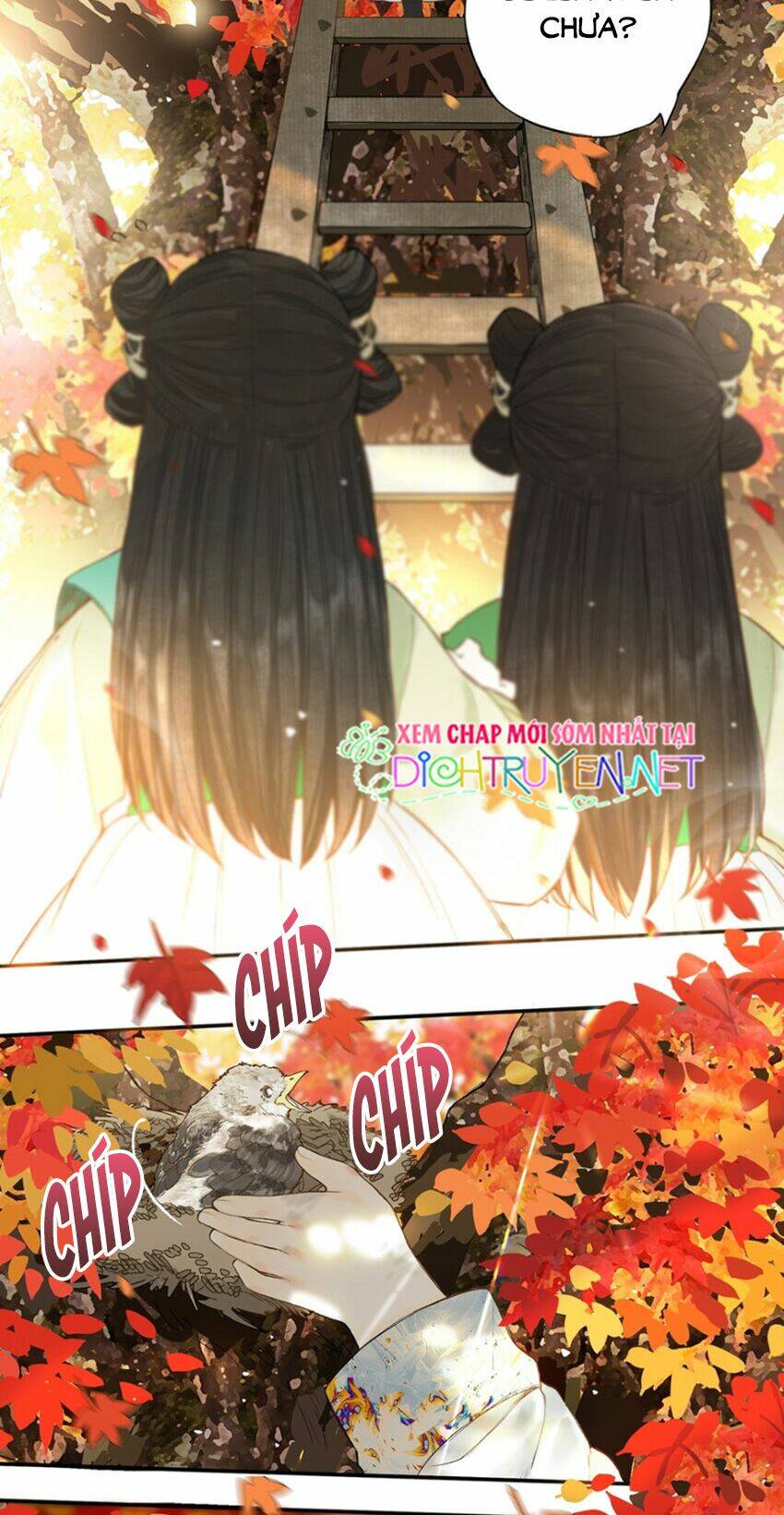 Lưu Hoa Bất Cập Xuân: Chapter 22