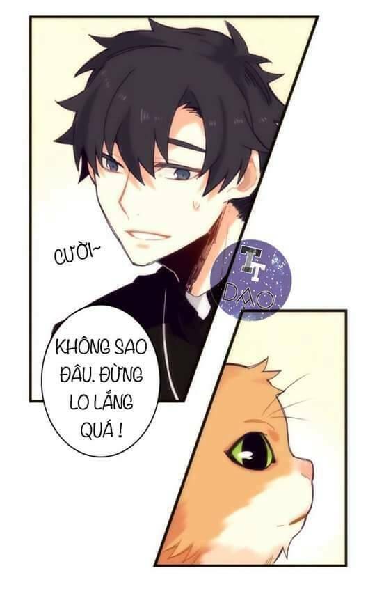 Biểu Đồ Của Linh Mục: Chapter 4