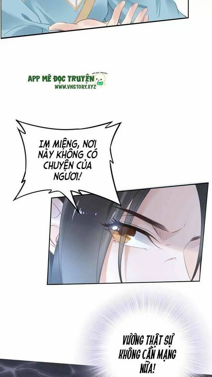 Nhất Sinh Nhất Thế Tiếu Thương Khung: Chapter 44