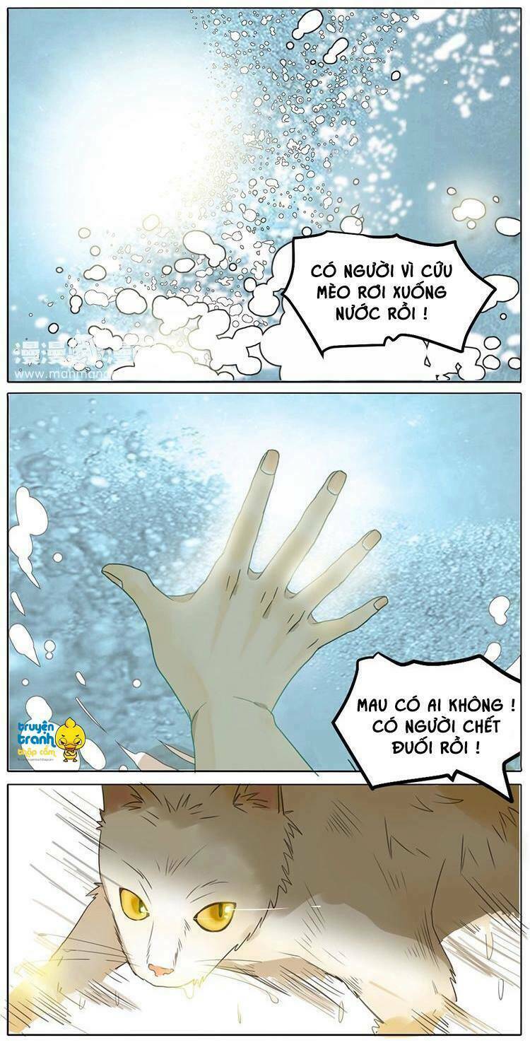 Cứu Mạng! Loài Mèo Thống Trị Thế Giới Rồi!: Chapter 2