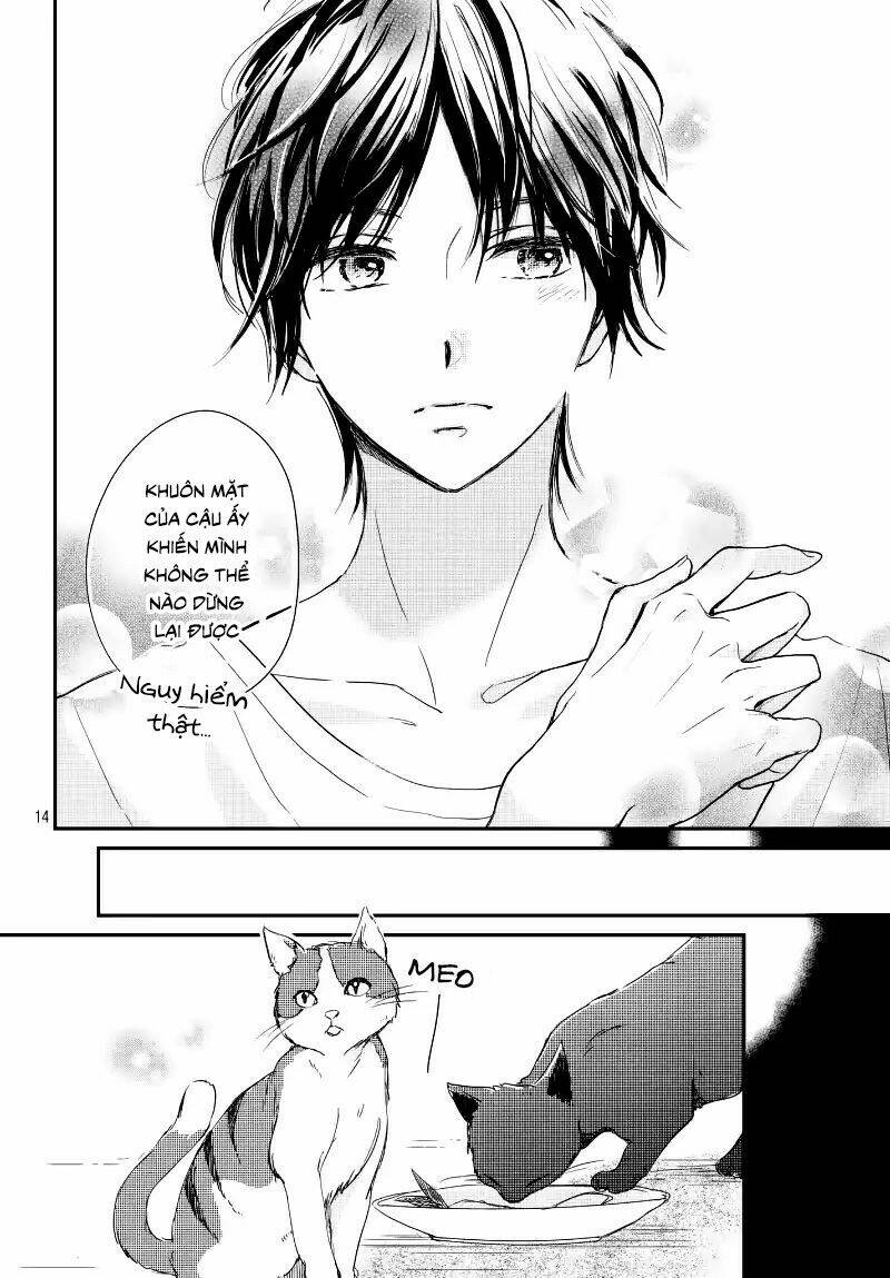Houkago, Koishita: Chapter 14