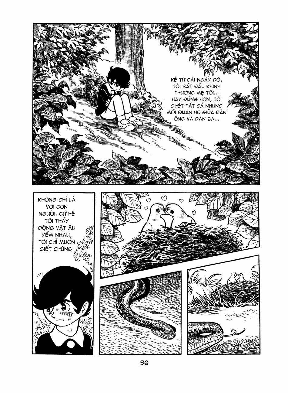 Apollo\’s Song: Chapter 0