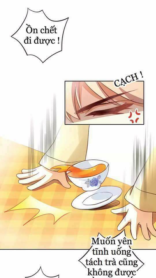 Dưới Móng Vuốt Mèo: Chapter 5