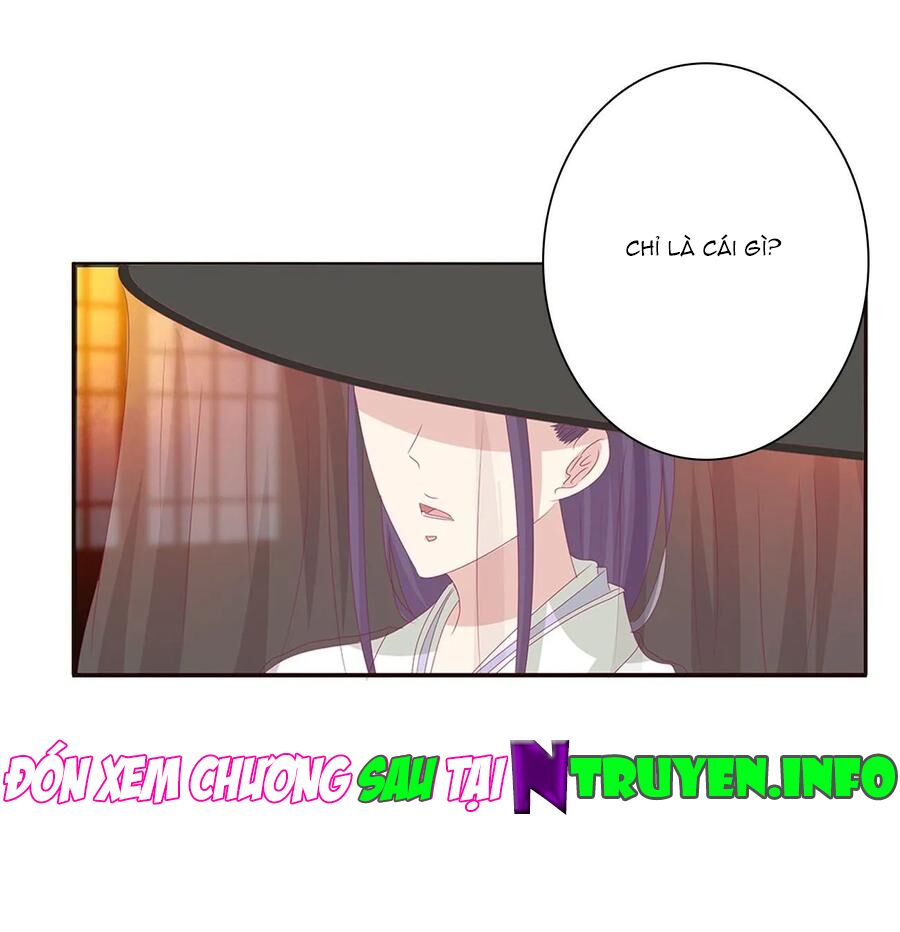 Thông Linh Phi: Chapter 598
