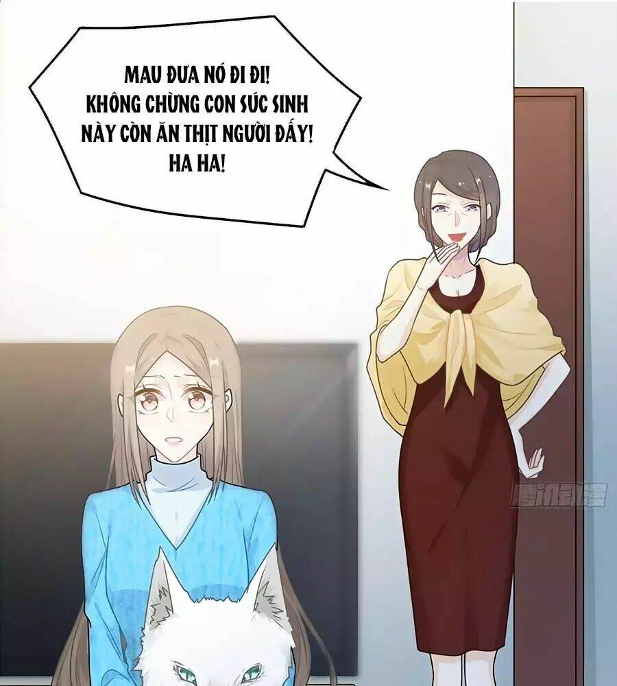 Hai Cách Tìm Gặp Người Yêu: Chapter 51