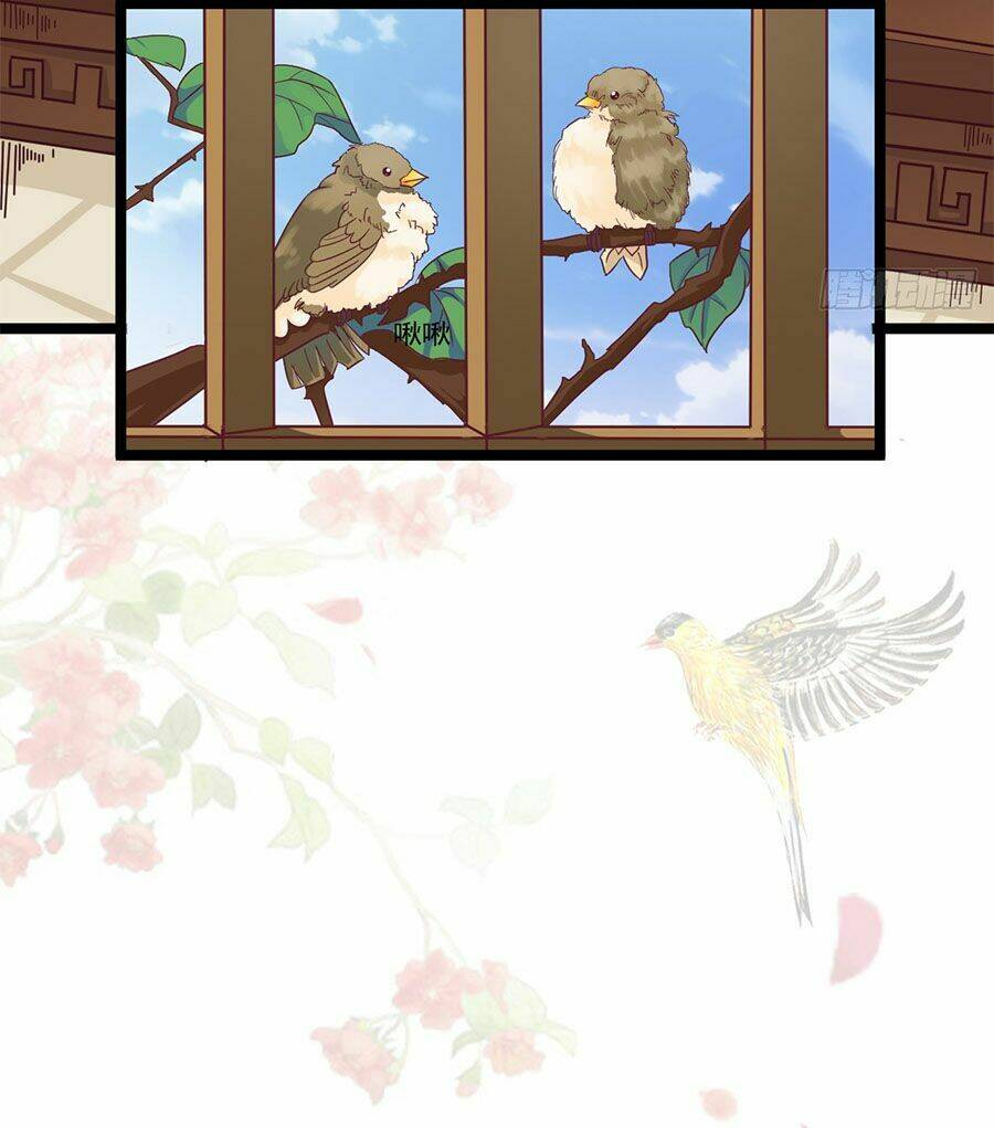 Ngọc Vi Mai: Chapter 19