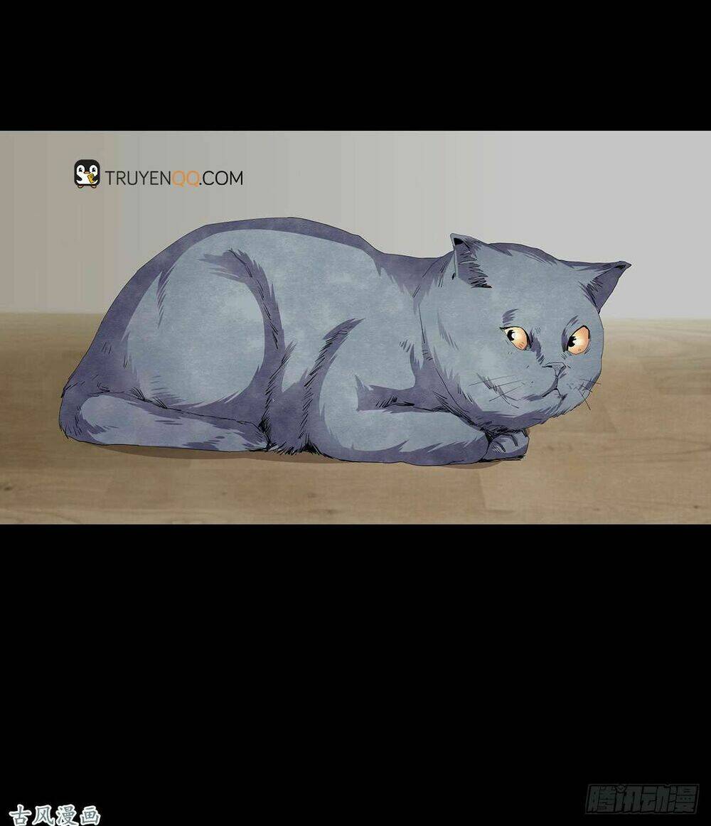 Ẩn Số Về Tứ Gia: Chapter 2