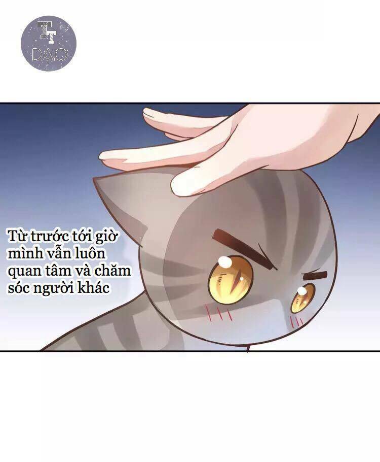 Dưới Móng Vuốt Mèo: Chapter 19