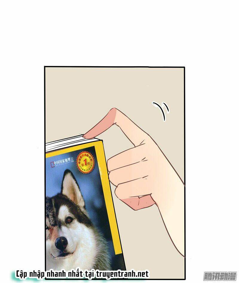 Chạm Vào Người Thương: Chapter 19