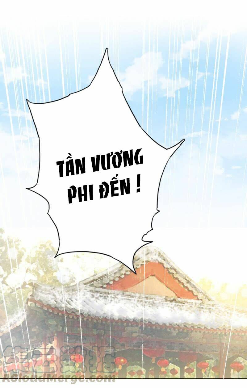 Solo Đi Vương Gia: Chapter 107