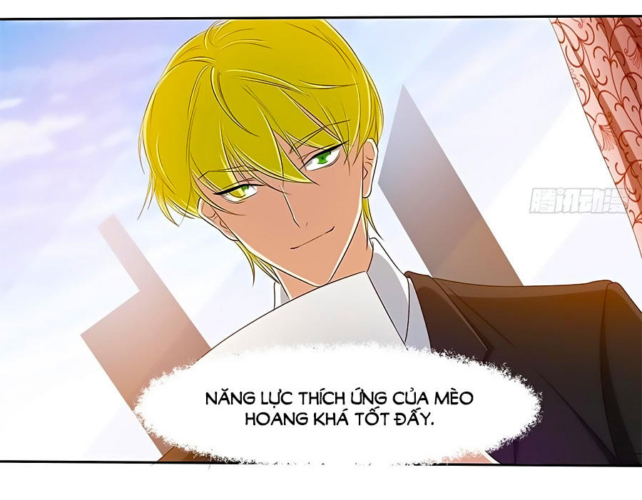 Cô Sát Thủ Ơi, Yêu Nhau Nhé: Chapter 12