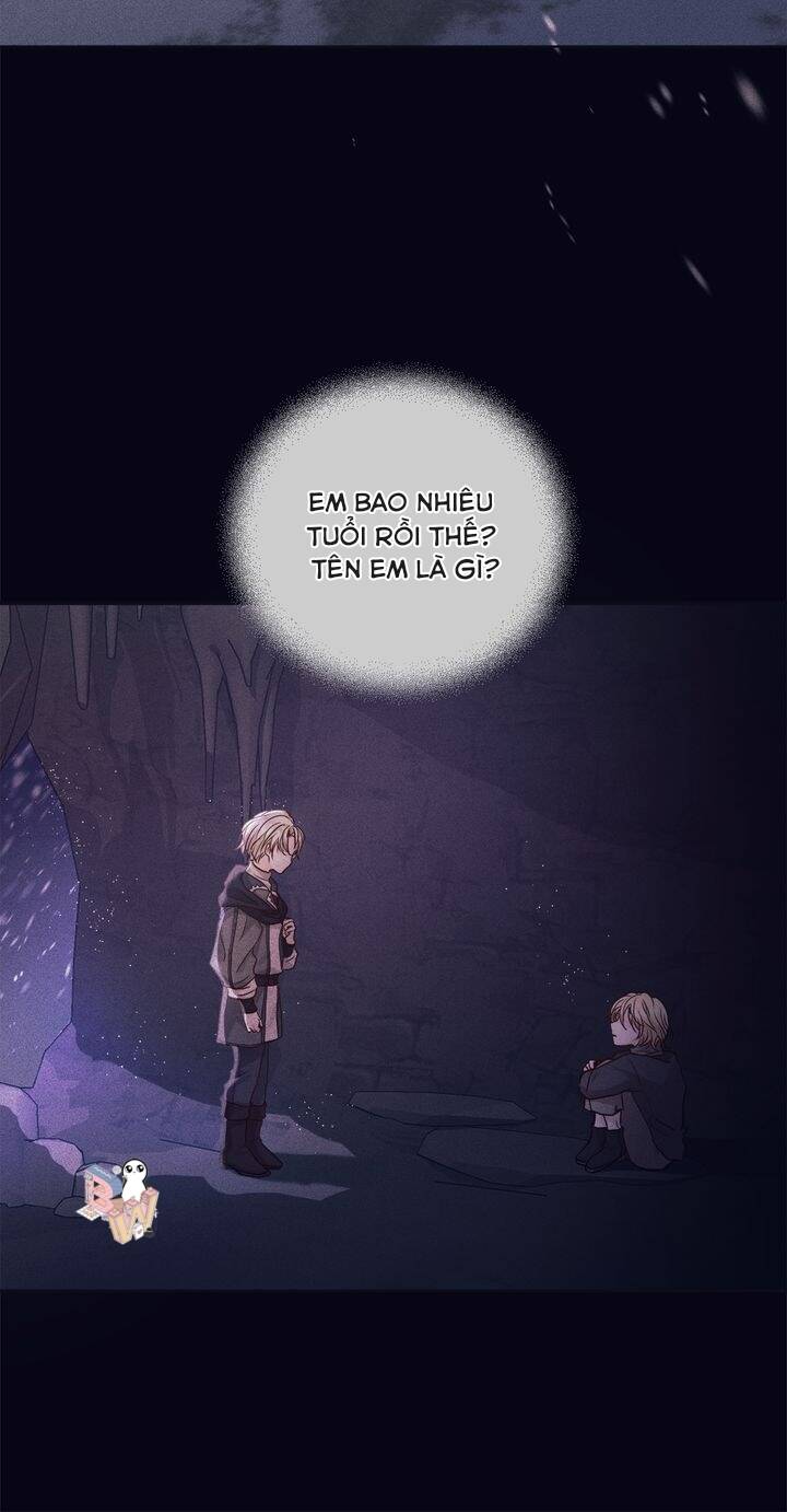 Nàng Dâu Bí Ẩn Của Bạch Sư Tử: Chapter 1