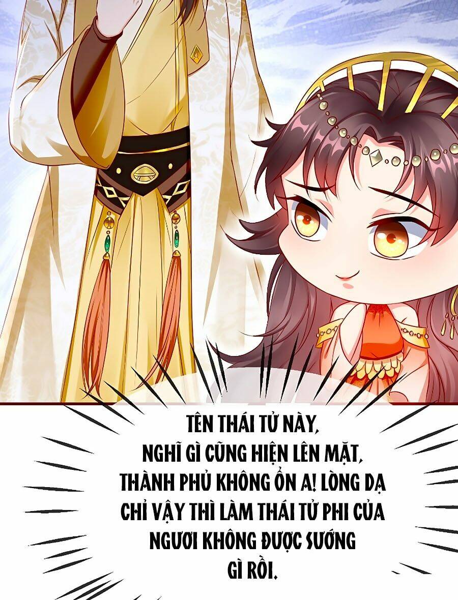 Vương Phi Là Đoá Bạch Liên Hoa: Chapter 10