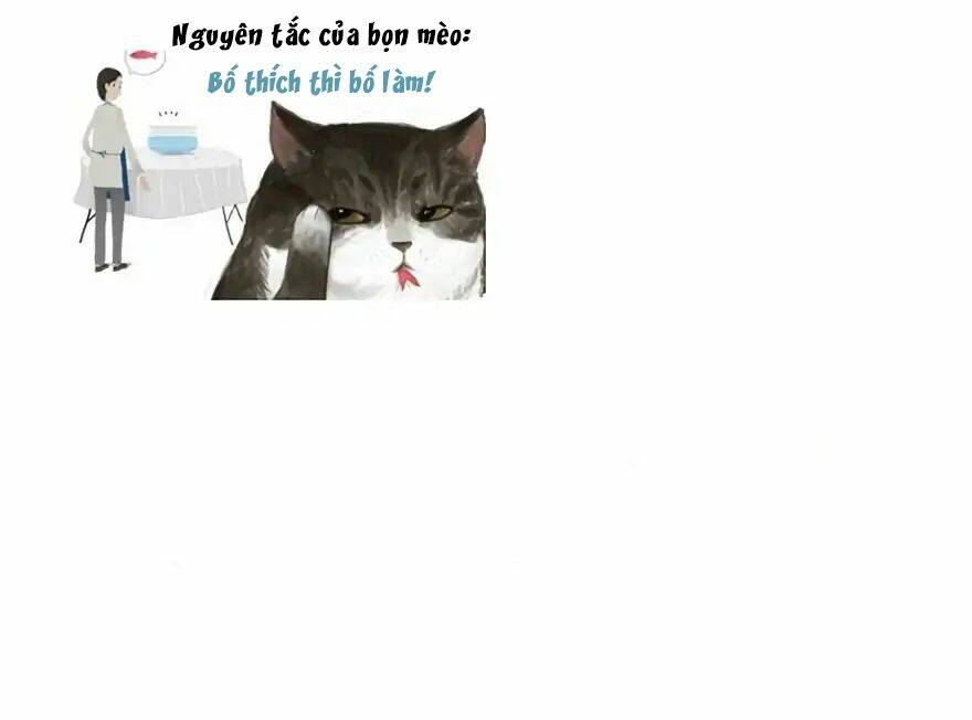 Biết Là Ghét Đấy, Nhưng Không Thể Buông Bỏ: Chapter 1