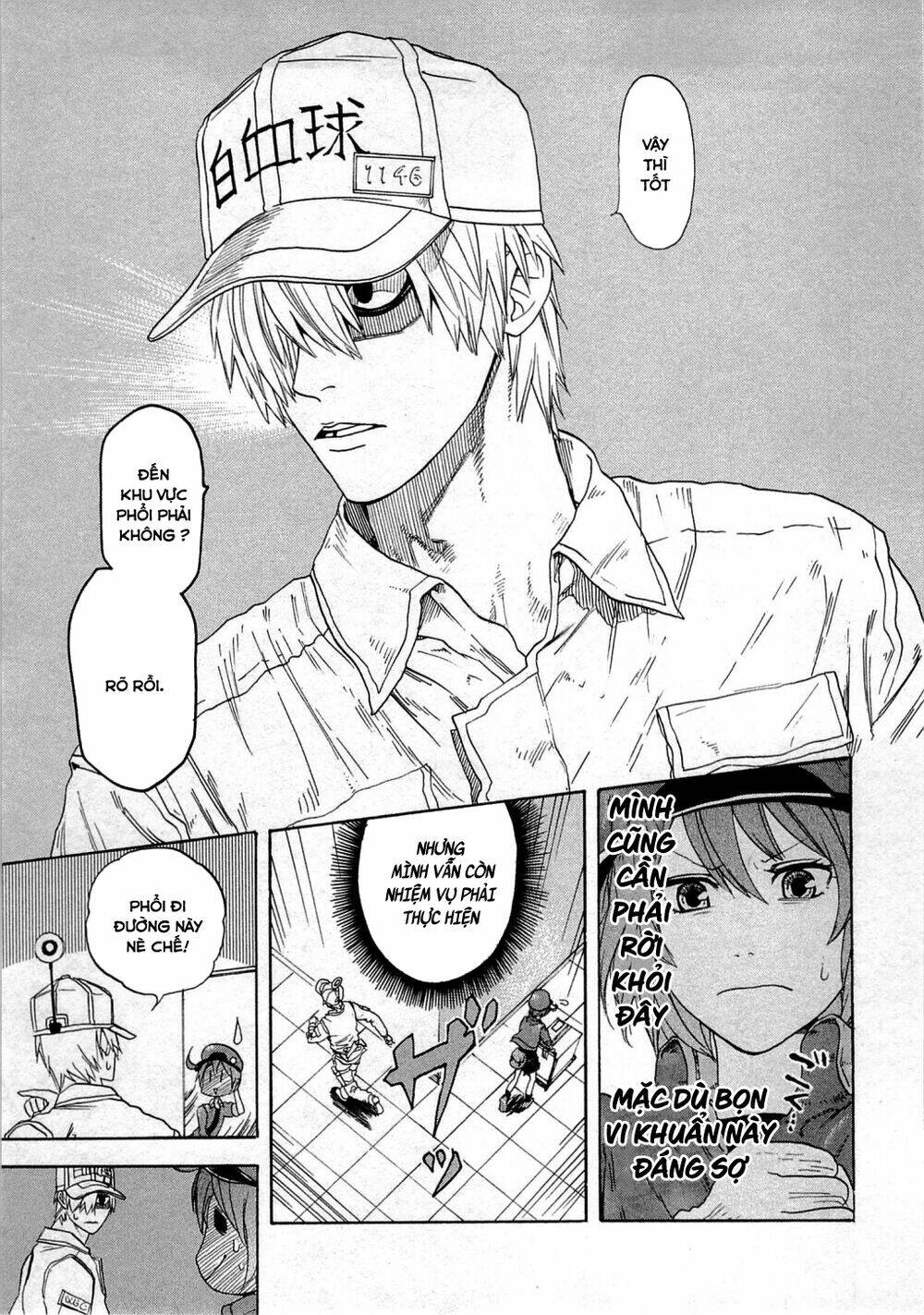 Hataraku Saibou!: Chapter 1