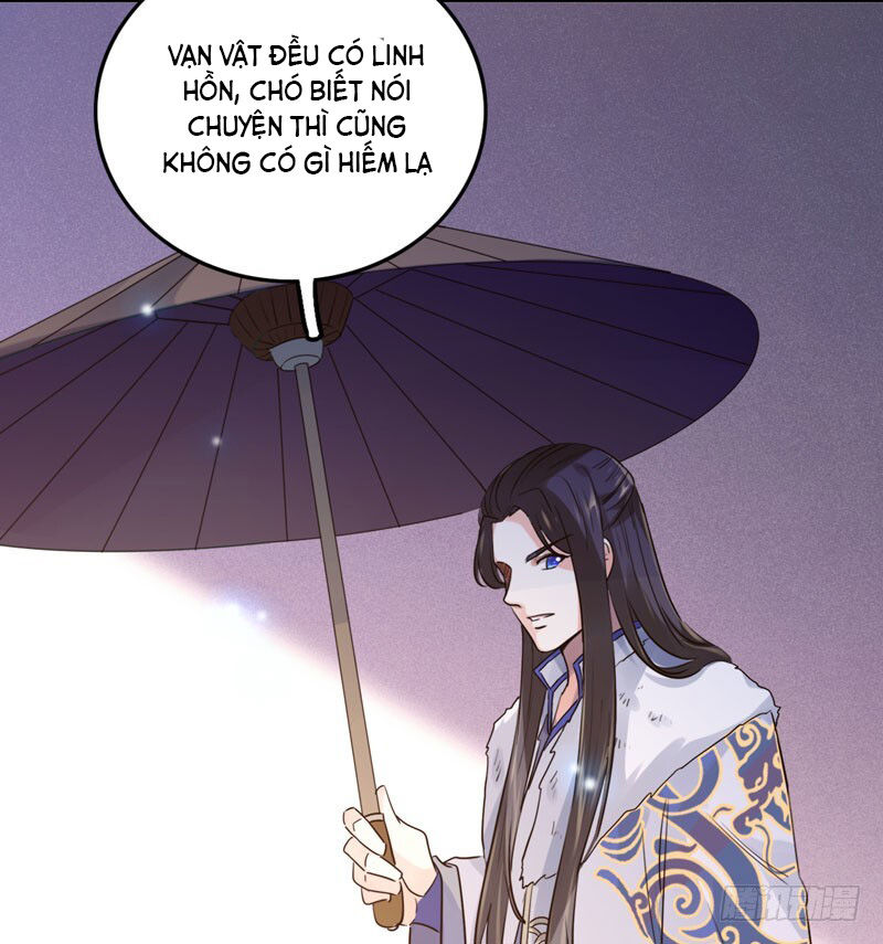 Lụ Đạn, Hôm Nay Lại Cũng Không Thể Biến Thành Người Được: Chapter 2