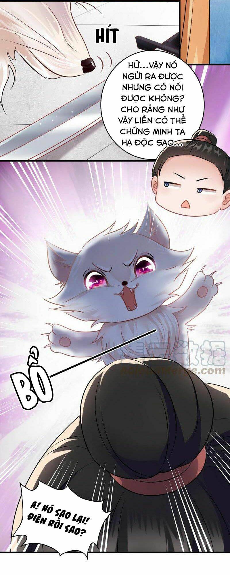 Thái Tử Điện Hạ Có Tin Vui: Chapter 73