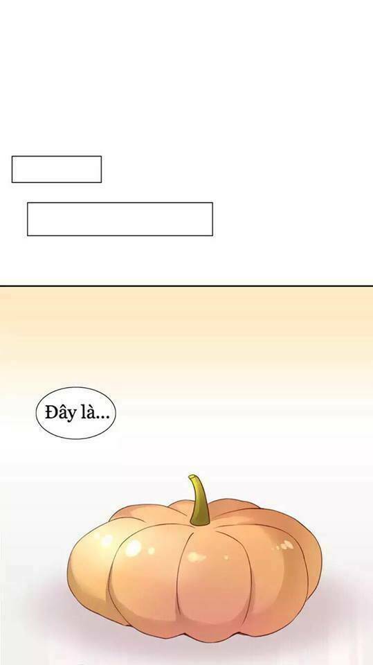 Dưới Móng Vuốt Mèo: Chapter 18