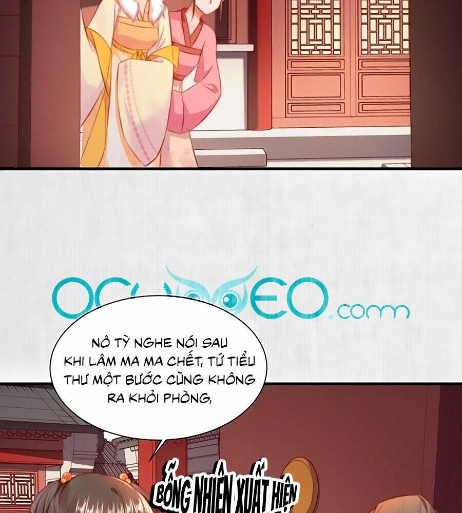 Hoạn Phi Hoàn Triều: Chapter 96