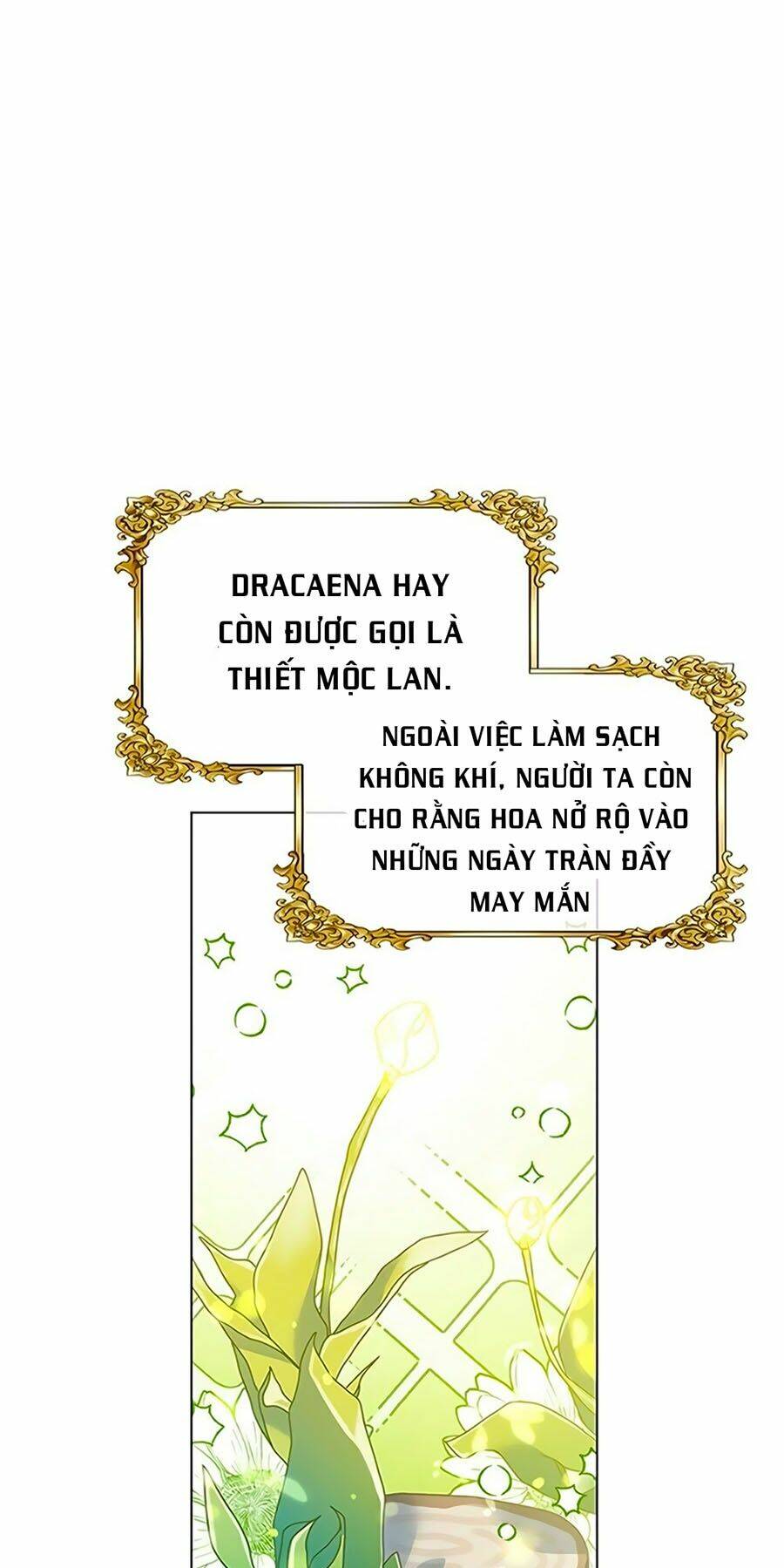 Khu Vườn Câm Lặng: Chapter 10