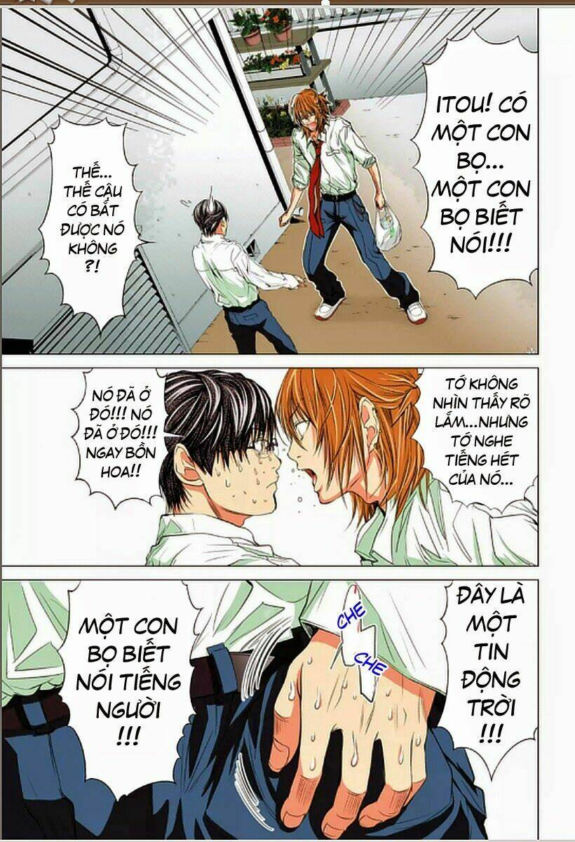 Minimum: Chapter 6