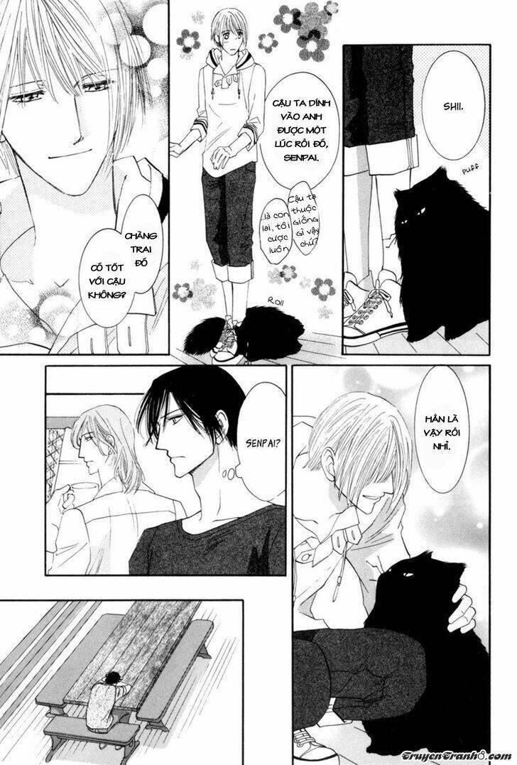 Moon Trick: Chapter 13
