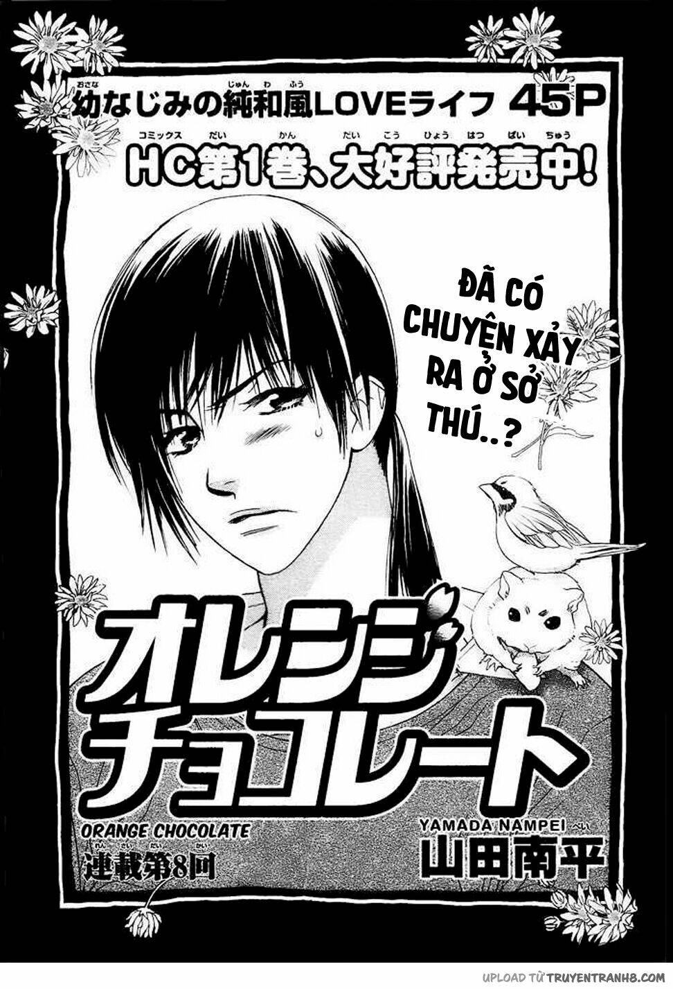 Orange Chocolate: Chapter 8