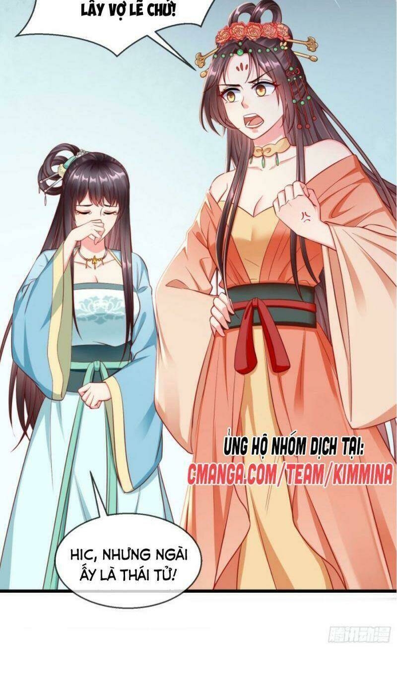 Vương Phi Là Đoá Bạch Liên Hoa: Chapter 28