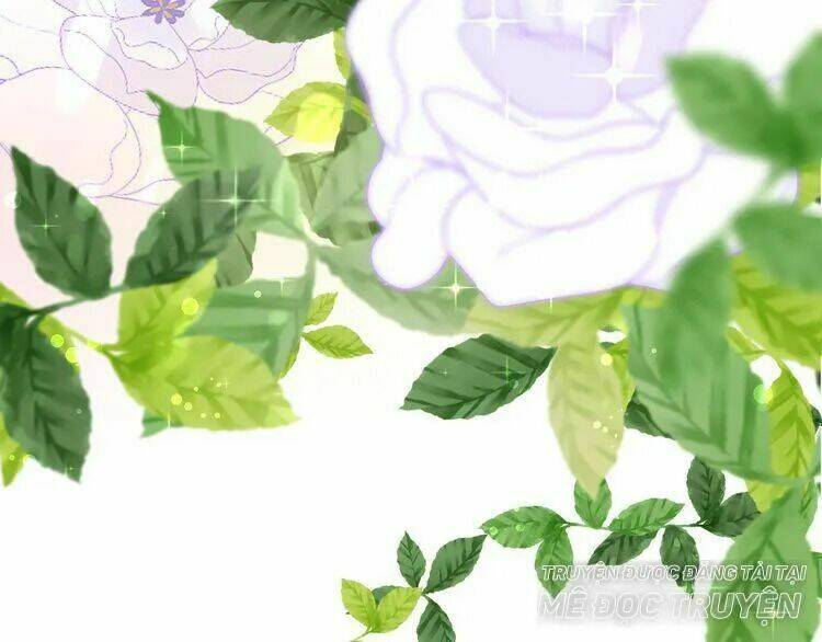 Thuần Trắng Vận Mệnh Chi Luân: Chapter 4