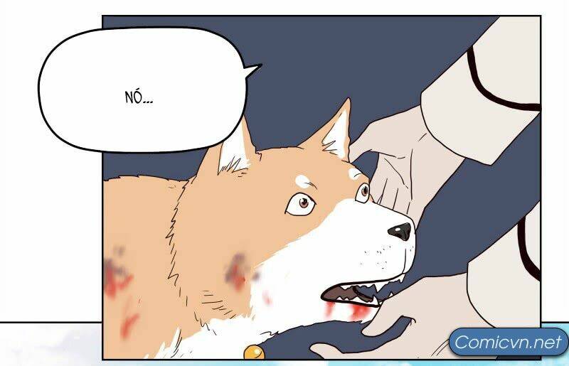 Thế Giới Cận Tử: Chapter 1