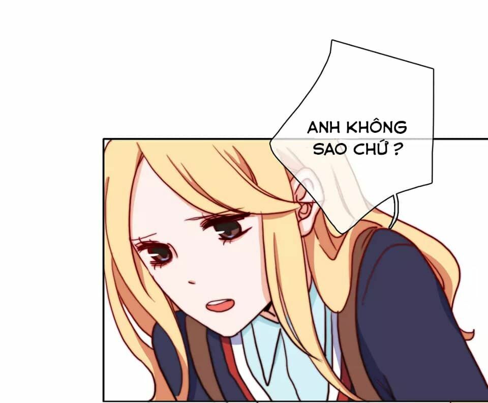 Trái Tim Băng Giá: Chapter 19