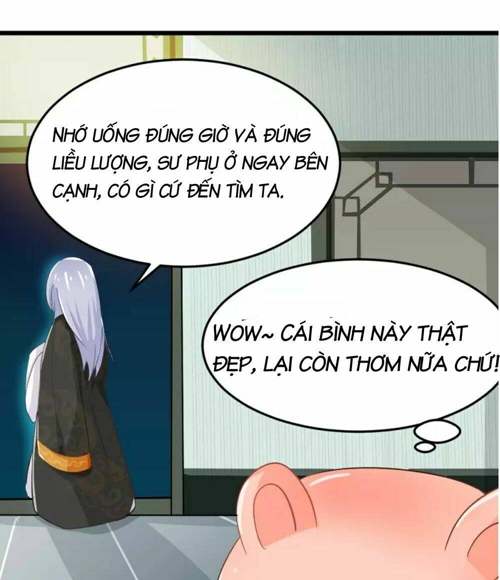 Đệ Tử Của Ta Là Heo: Chapter 4